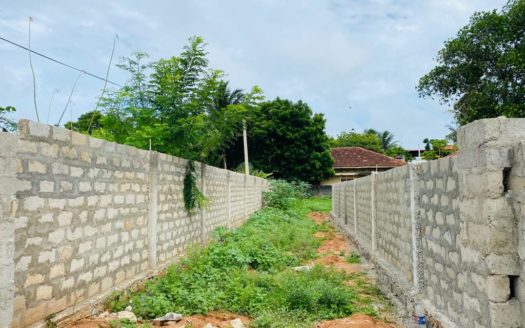 Land for sale in Thirunelvely.