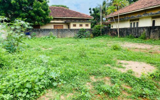 Land for sale in Thirunelvely.