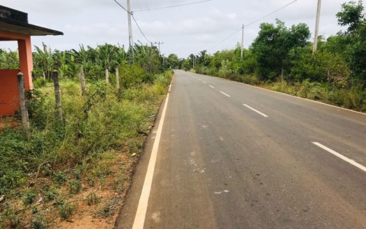 Land for sale in Thellippalai.