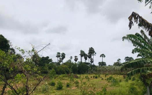 Land for sale in Thellippalai.