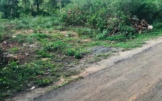 Land for sale in Thellippalai