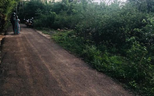Land for sale in Thellippalai