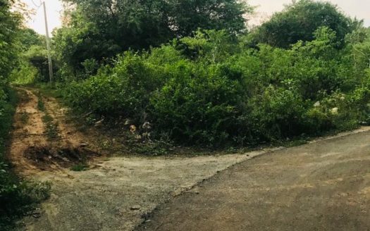 Land for sale in Thellippalai