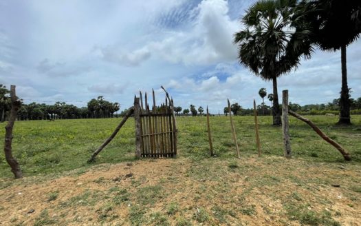 Land for sale in Usan Vidathappalai