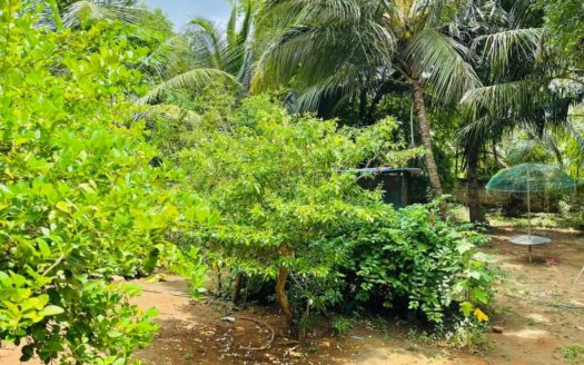 House for sale 100m from Urumpirai junction