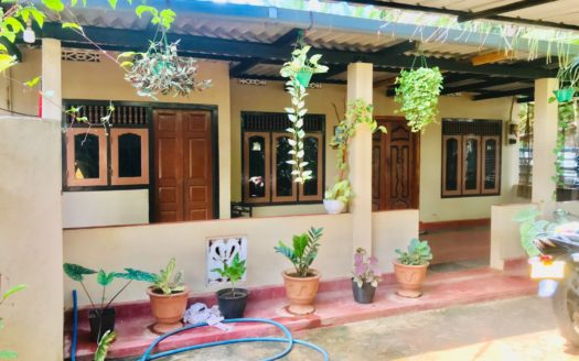 500 meters from Palali Road, house for sale on the side of Sivan Road in Urumpirai