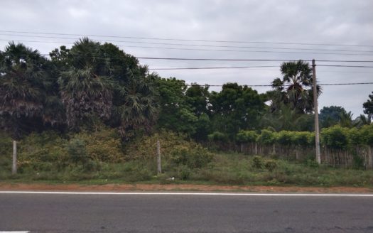 Land for sale in A9 road Mugamalai.