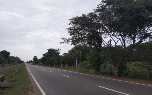 Land for sale in A9 road Mugamalai