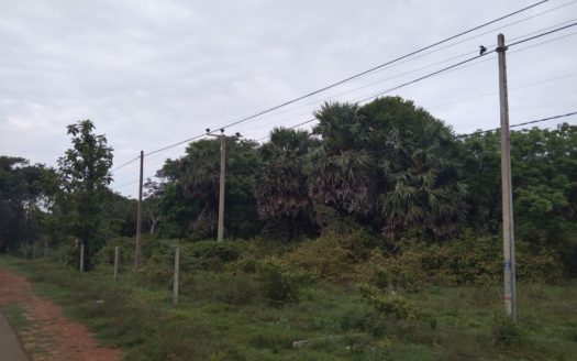 Land for sale in A9 road Mugamalai.