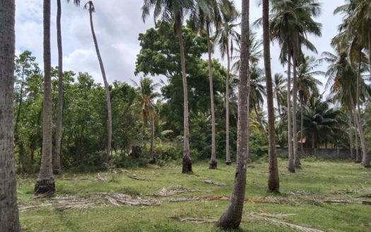 Land for sale in Kalviyankadu