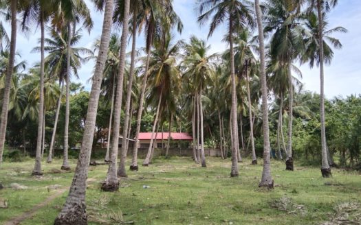 Land for sale in Kalviyankadu