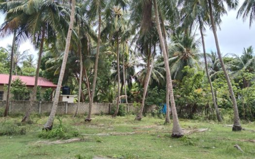 Land for sale in Kalviyankadu