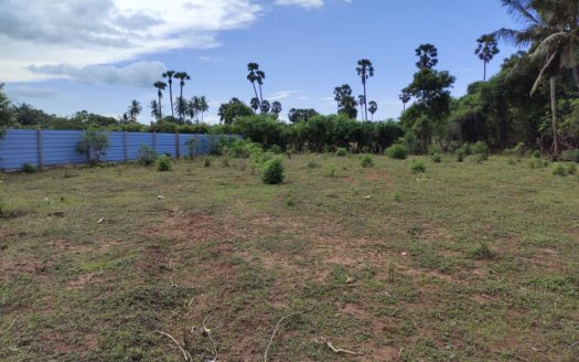 Land for sale in Ilavalai.
