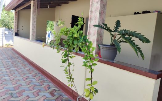 Beautiful house for sale in Thellippalai