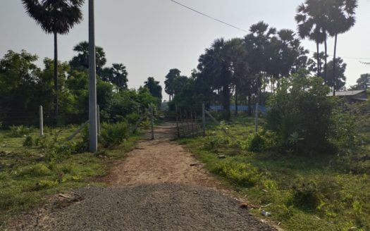 Land for sale with facilities for an integrated farm in Matakal