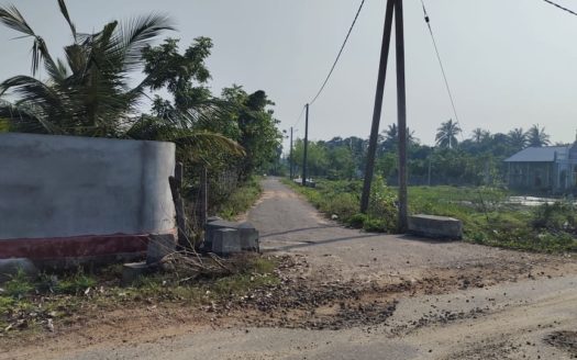 Land for sale with facilities for an integrated farm in Matakal
