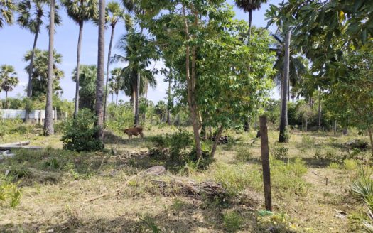 Land for sale with facilities for an integrated farm in Matakal