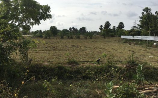 Land for sale with small shop in Mannar