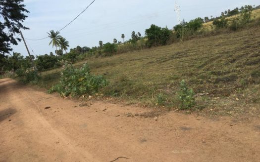 Land for sale with small shop in Mannar