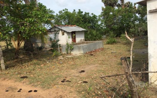 Land for sale with small shop in Mannar