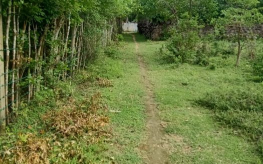 Land with house for sale in Sankarathai