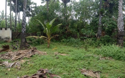 Land with house for sale in Sankarathai