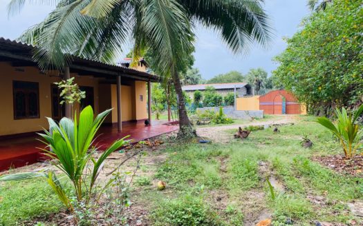 Land with newly built house for sale in Sankarathai