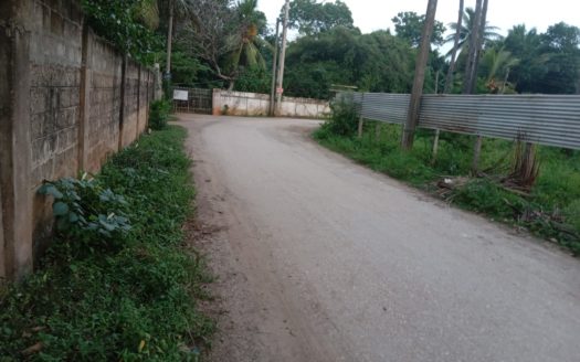 Land for sale in Thavady