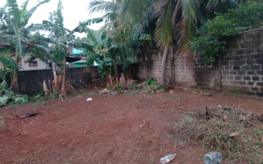 Land for sale in Thavady