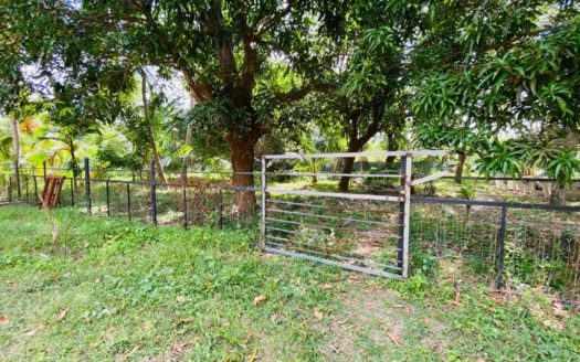 Land with house for sale in Meesalai North