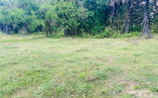 Land for sale in Maduvil