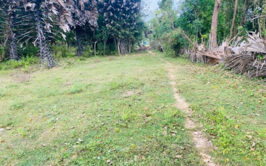 Land for sale in Maduvil