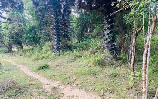 Land for sale in Maduvil