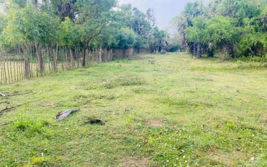 Land for sale in Maduvil