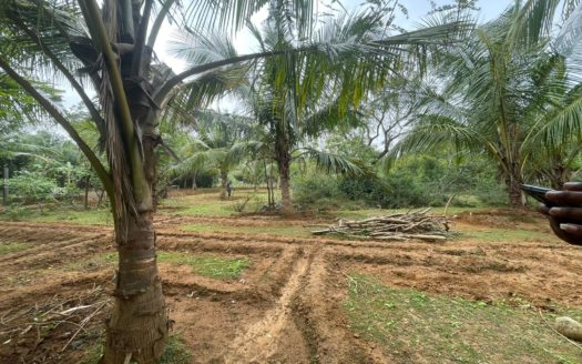 Land for sale in Chunnakam 100 meters from KKS road