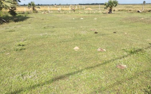 Road side land for sale in Kerathivu