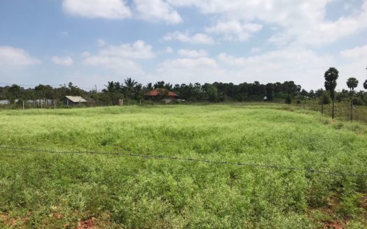 Land for sale in Vasavilan