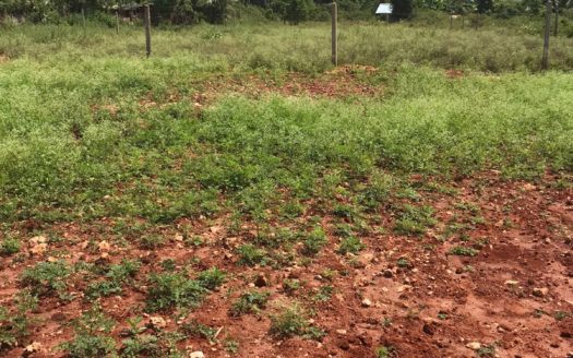 Land for sale in Vasavilan