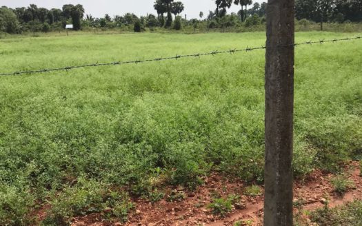 Land for sale in Vasavilan