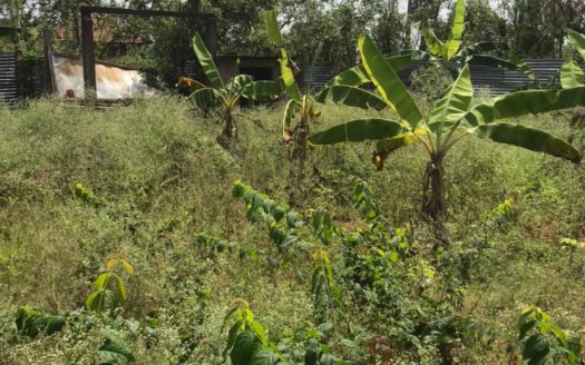 Land for sale in Vasavilan