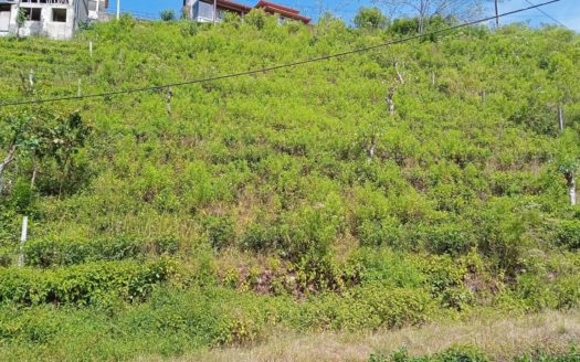 Land for sale in Hatton