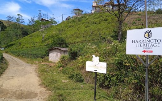Land for sale in Hatton