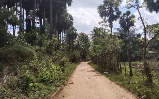 Land for sale in Kopay