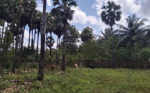 Land for sale in Kopay