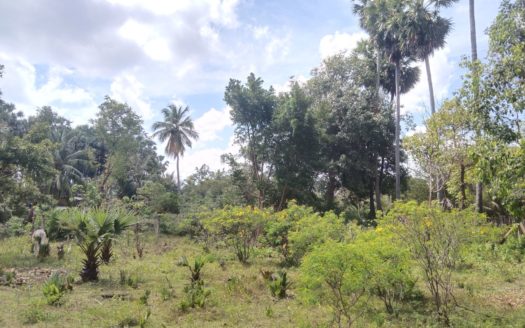 Land for sale in Kopay