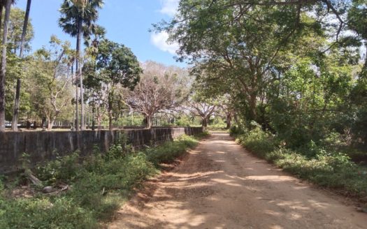 Land for sale in Kopay