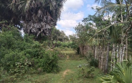 Land for sale in Kopay