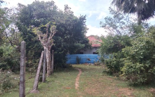 Land for sale in Kopay