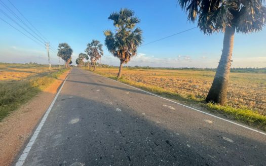 Land for sale in Chemmani