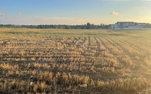 Land for sale in Chemmani